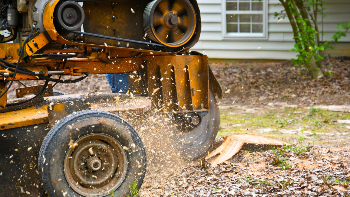 Stump Grinding Services (1) Stump Grinding Services (1)